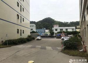 布吉网红厂,揭秘网红制造背后的秘密工厂